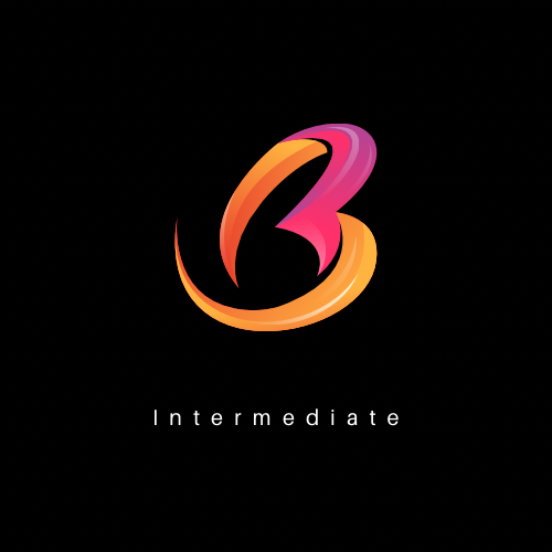 Intermediate Coaching Program